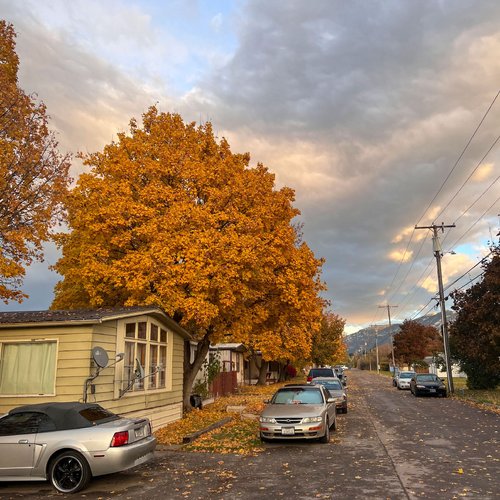 street with sky and orange leaved tree with mountains behind it